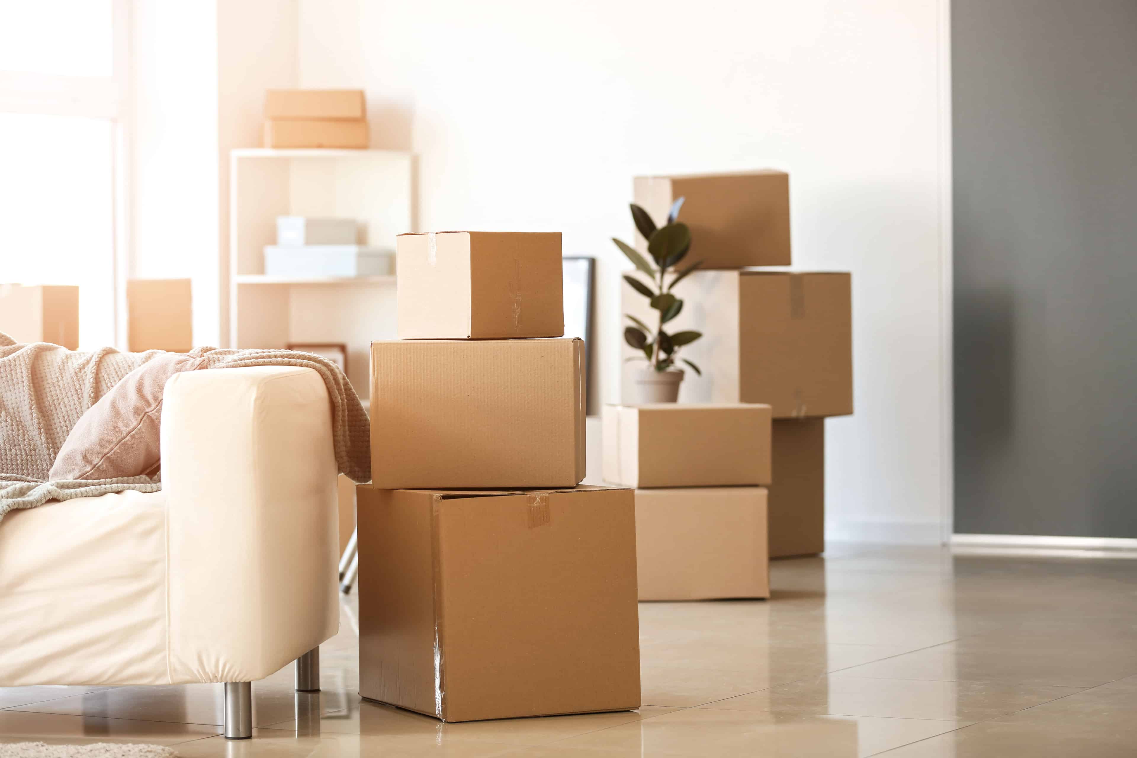 Move-In/Move-Out Cleaning image